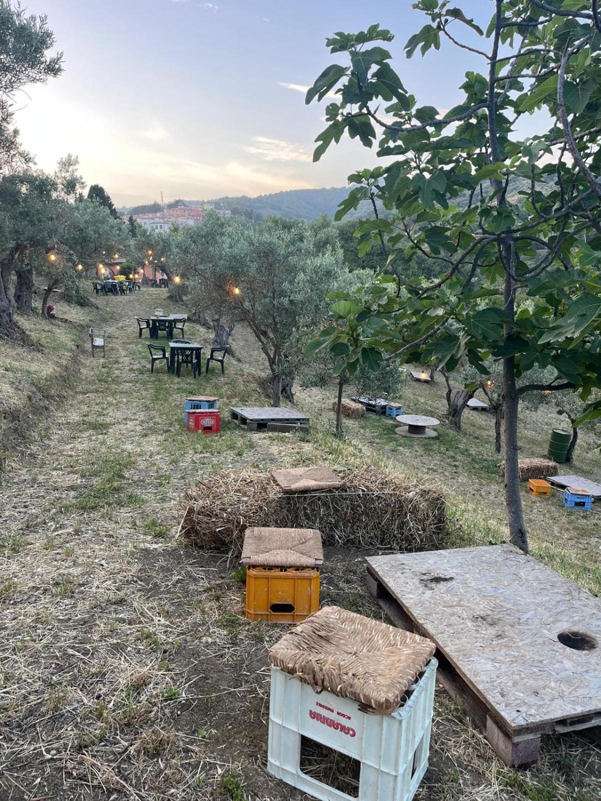 Sarrotino Casale Carolea 아파트 외부 사진